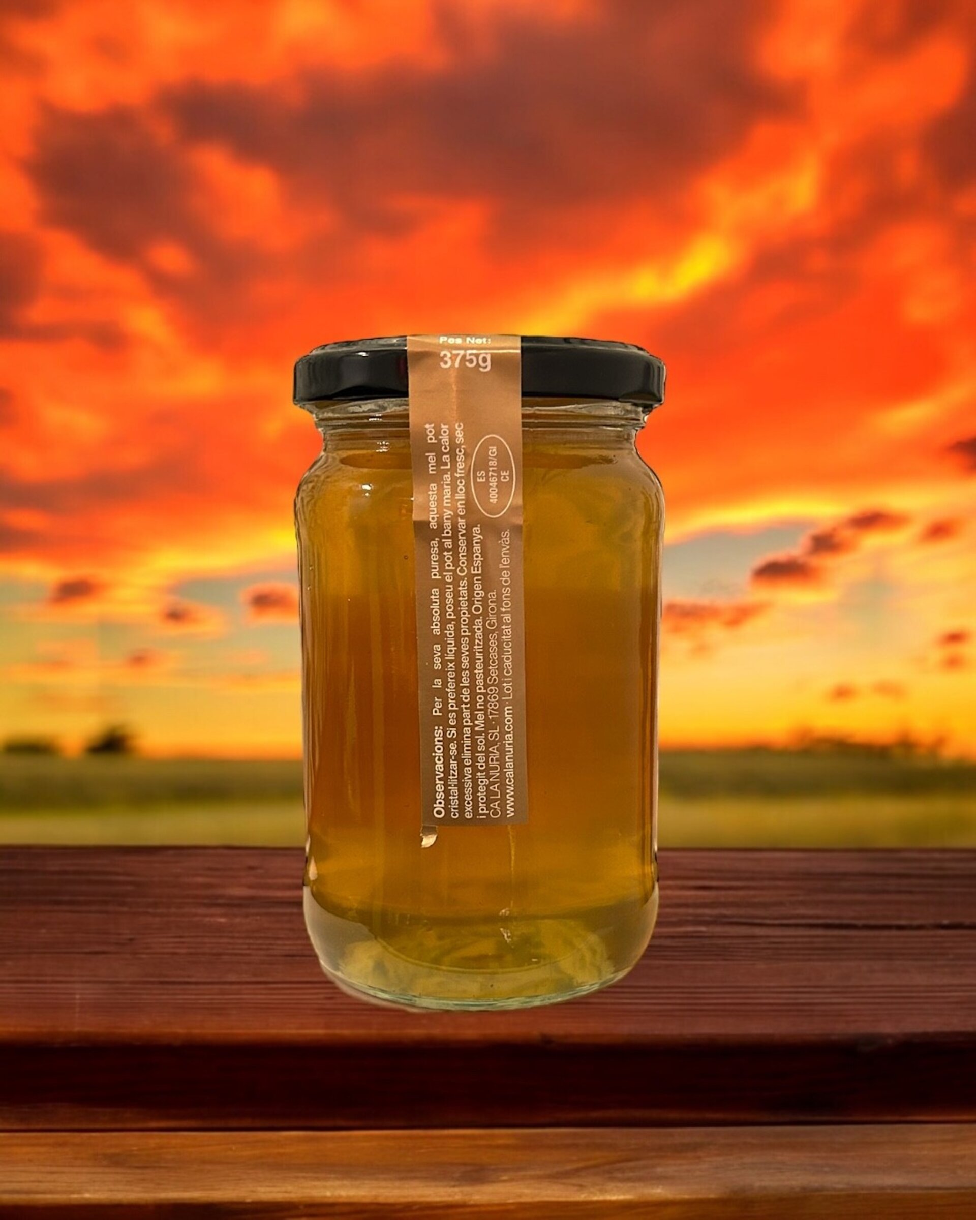 Miel de Naranja 375gr. - 2