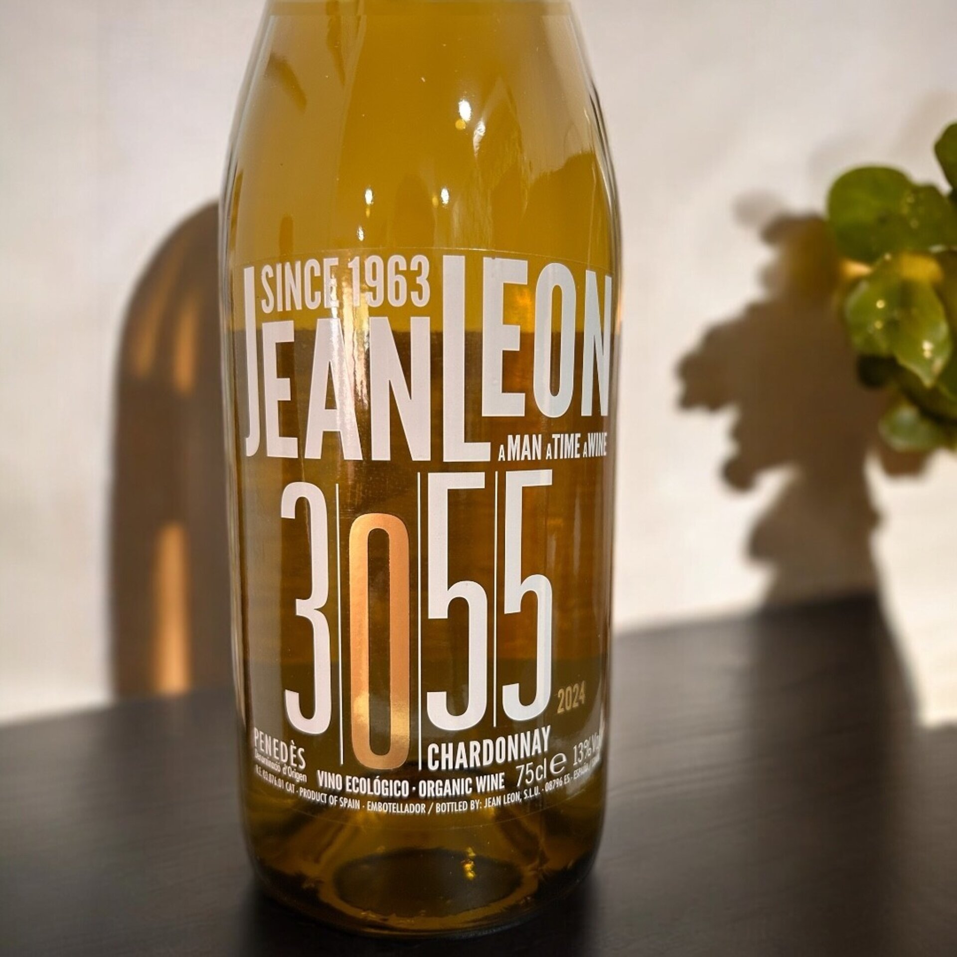 Vino Blanco Jean Leon 3055 - 3
