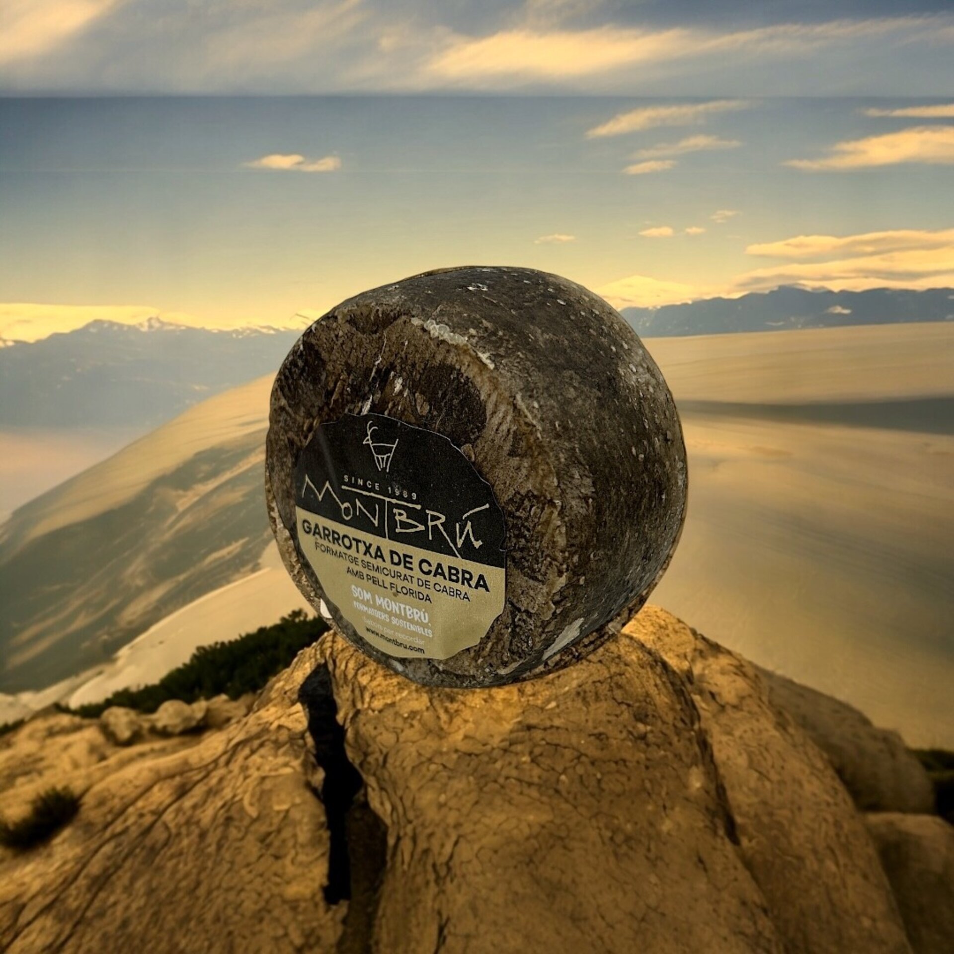 Queso Semicurado de Cabra Montbrú - 3